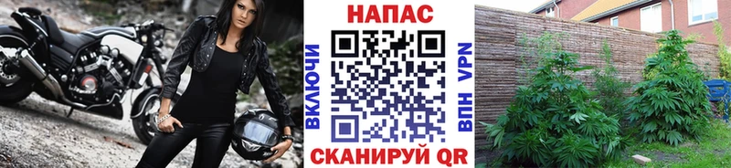 Где можно купить наркотики Долгопрудный A-PVP  Кодеин  ГАШИШ  МДМА  Каннабис  АМФЕТАМИН  Меф 