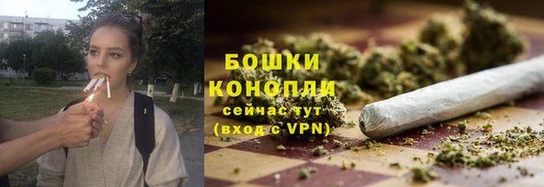дмт Переславль-Залесский