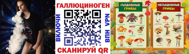 Псилоцибиновые грибы MAGIC MUSHROOMS  Долгопрудный 