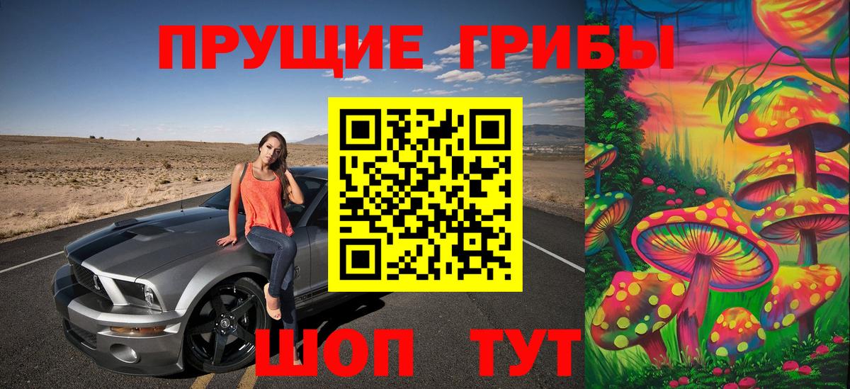 Псилоцибиновые грибы Psilocybe  продажа наркотиков  Долгопрудный 