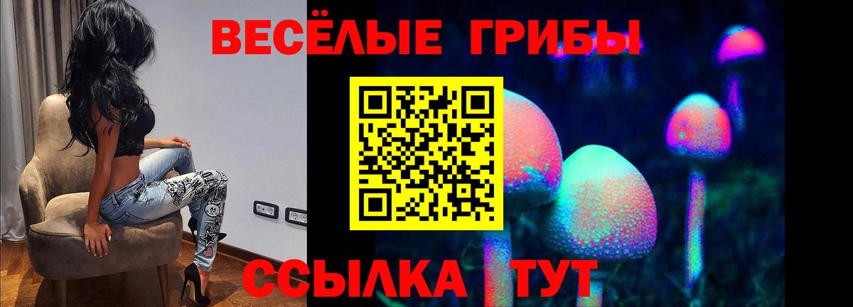 Псилоцибиновые грибы Psilocybe Долгопрудный