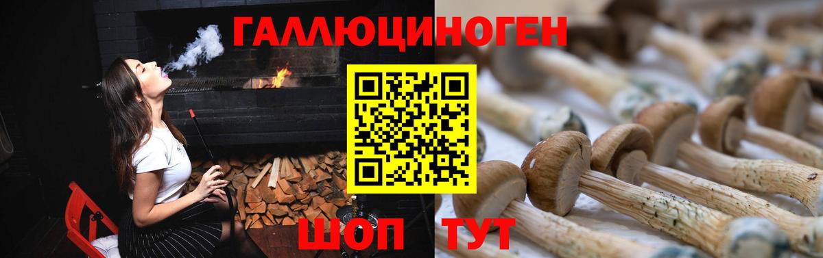 Псилоцибиновые грибы мухоморы  Псилоцибиновые грибы Psilocybe  Долгопрудный  Вход с VPN 